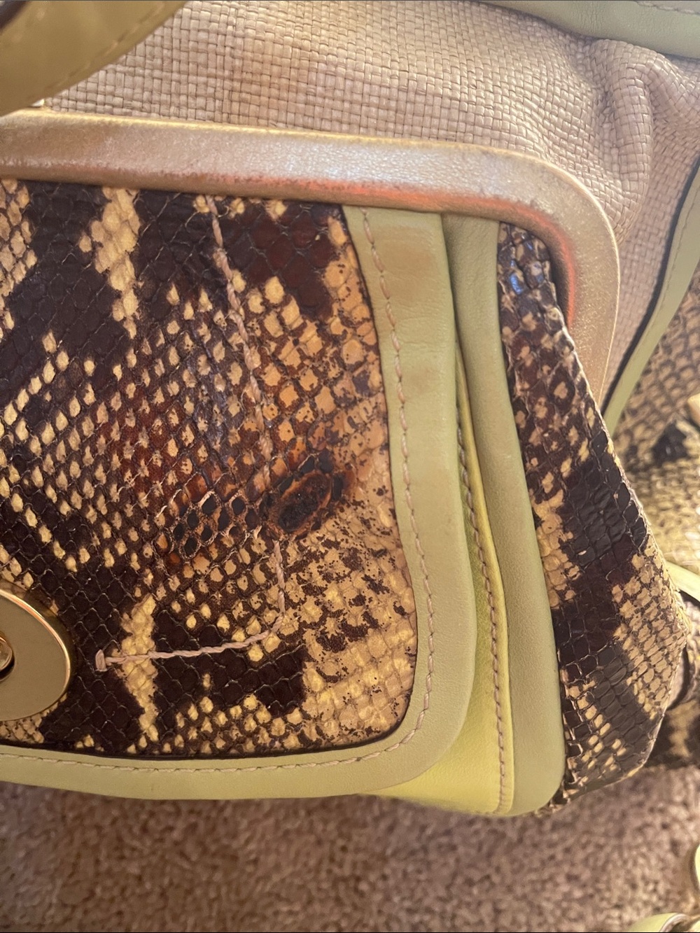 Coach Natalie bag Green Trim Python-Print Canvas Shoulder Bag gold accents - Picture 6 of 13